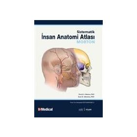 MORTON İNSAN ANATOMISI - ADAM DAVID MORTON;KURT H. ALBERTINE