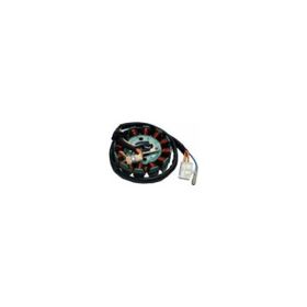 Motospartan Mondial ZC 150 ZN 125 12 Li Statör