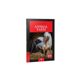 MR. DONALD'S ANIMAL FARM (STAGE 1) - ERTAN ARDANANCI