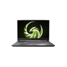 MSI Alpha 17 A4DEK-025XTR AMD Ryzen 7 4800H 16GB 512GB SSD RX5600M Freedos 17.3 inç Laptop - Notebook