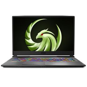 MSI Alpha 17 A4DEK-025XTR AMD Ryzen 7 4800H 16GB 512GB SSD RX5600M Freedos 17.3 inç Laptop - Notebook