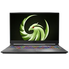 MSI Alpha 17 A4DEK-025XTR AMD Ryzen 7 4800H 16GB 512GB SSD RX5600M Freedos 17.3 inç Laptop - Notebook