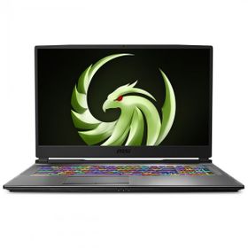 MSI Alpha 17 A4DEK-025XTR AMD Ryzen 7 4800H 16GB 512GB SSD RX5600M Freedos 17.3 inç Laptop - Notebook