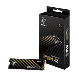 MSI M461 Spatium PCIe 4.0 NVMe M.2 1TB Okuma 5000MB Yazma 3200MB
