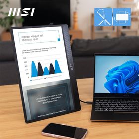 MSI PRO MP161 E2U 15.6 inç 60Hz 4ms Taşınabilir Monitör