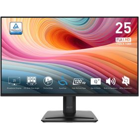 MSI PRO MP251 E2 24.5 inç 120Hz IPS Monitör
