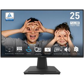 MSI PRO MP252 24.5 inç 100Hz 1ms Monitör