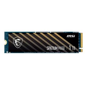 MSI Spatium M450 1 TB 3400/2400 NVMe SSD