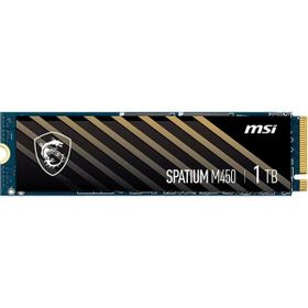 MSI Spatium M450 1 TB 3400/2400 NVMe SSD