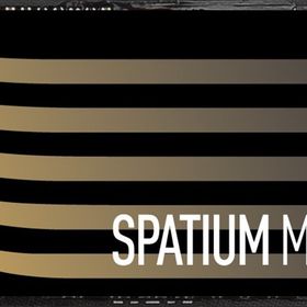 MSI Spatium M480 Pro 2 TB 7400/7000 MB/s M.2 2280 PCIe 4.0 NVMe SSD