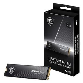 MSI Spatium M560 1 TB 10200/8400 NVMe SSD