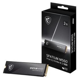 MSI Spatium M560 1 TB 10200/8400 NVMe SSD