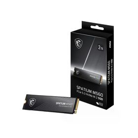 MSI Spatium M560 2 TB 10300/8700 NVMe SSD
