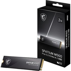 MSI Spatium M560 2 TB 10300/8700 NVMe SSD