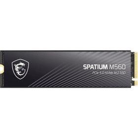 MSI Spatium M560 2 TB 10300/8700 NVMe SSD