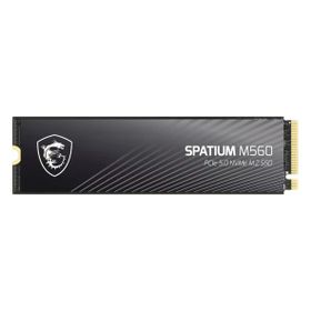 MSI Spatium M560 2 TB 10300/8700 NVMe SSD