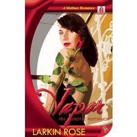 MSR Nt 040818053300 Quick Vapor Tava
