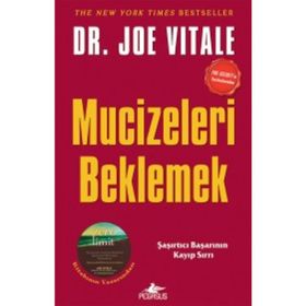 MUCIZELERI BEKLEMEK - JOE VITALE