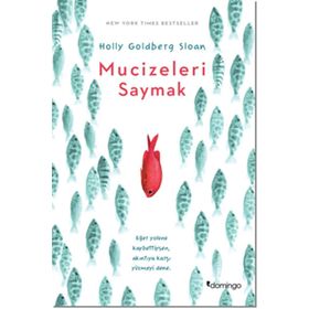 Mucizeleri Saymak - Holly Goldberg Sloan