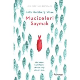 Mucizeleri Saymak - Holly Goldberg Sloan