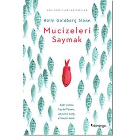 Mucizeleri Saymak - Holly Goldberg Sloan