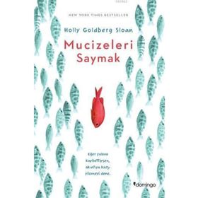 Mucizeleri Saymak - Holly Goldberg Sloan