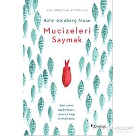 Mucizeleri Saymak - Holly Goldberg Sloan
