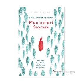Mucizeleri Saymak - Holly Goldberg Sloan