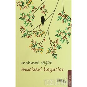 MUCIZEVI HAYATLAR - MEHMET SÖĞÜT