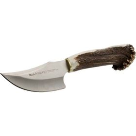 Muela Sabueso 11 cm Geyik Boynuzu Saplı Bıçak