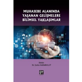 Muhasebe Alanında Yaşanan Gelişmelere Bilimsel Yaklaşımlar - Şahin Karabulut