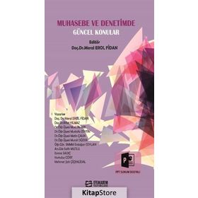 Muhasebe Ve Denetimde Güncel Konular - Meral Erol Fidan