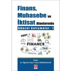 Muhasebe ve Finans Alanında Güncel Çalışmalar - Kolektif