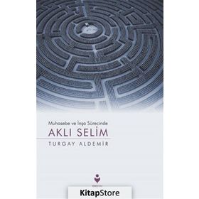 Muhasebe ve İnşa Sürecinde Aklı Selim - Turgay Aldemir