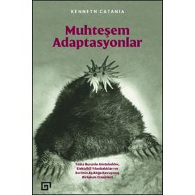 Muhteşem Adaptasyonlar - Kenneth Catania