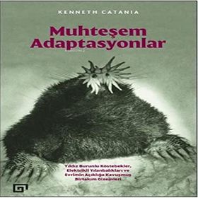 Muhteşem Adaptasyonlar - Kenneth Catania