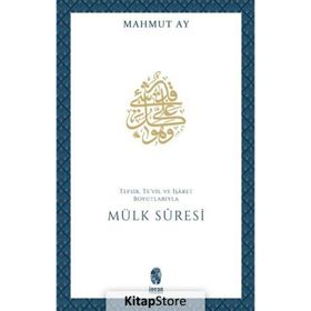 Mülk Süresi İnsan Yayınları