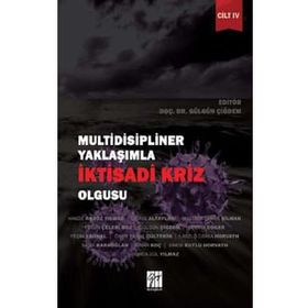 Multidisipliner Yaklaşımla İktisadi Kriz Olgusu Cilt 4 - Gülgün Çiğdem