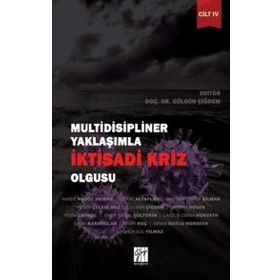 Multidisipliner Yaklaşımla İktisadi Kriz Olgusu Cilt 4 - Gülgün Çiğdem