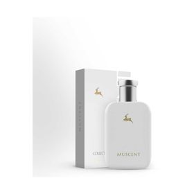 Muscent C006 EDP 50 ml Erkek Parfüm