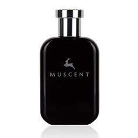 Muscent M175 EDP 50 ml Erkek Parfüm