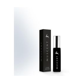 Muscent M176 15 ml Edp Erkek Parfüm