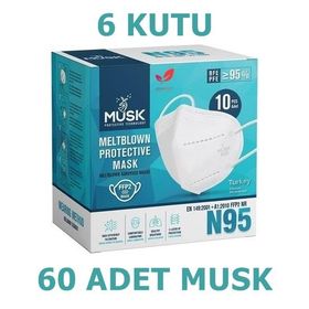 Musk FFP2 N95 60'lı Mix 5 Renk Maske