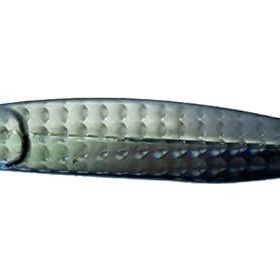 Mustad Mezashi Casting Jig 20 gr Black Magic Sahte Balığı