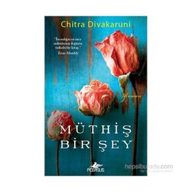 Müthiş Bir Şey - chitra banarjee divakaruni