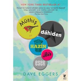 MÜTHİŞ DAHIDEN HAZIN BIR ESER - DAVE EGGERS