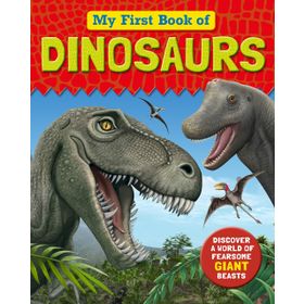 My First Book of Dinosaurs - kollektif