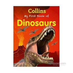 My First Book of Dinosaurs - kollektif