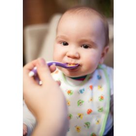 Mycey Mor Taşıma Kutulu Mama Kaşığı