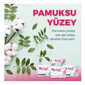 Myleydi Normal 12x120 Adet Ultra Hijyenik Ped